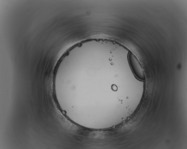 X0000089931000200707061036