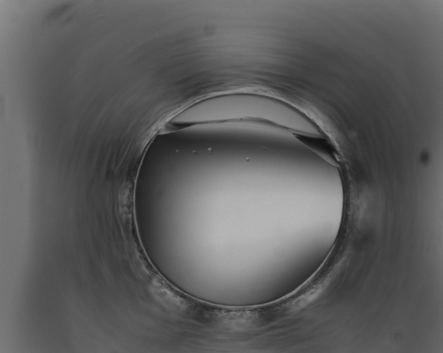 X0000089931001200707061036