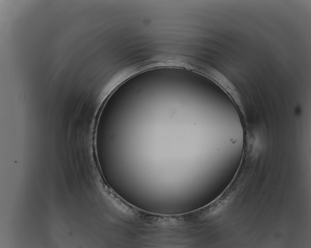 X0000089931002200707061036