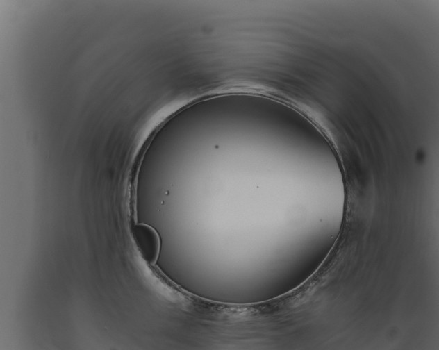 X0000089931003200707061035