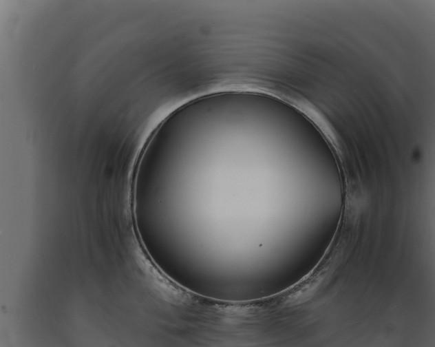 X0000089931004200707061035