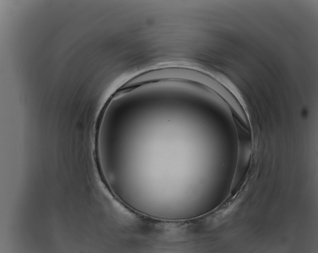 X0000089931005200707061035