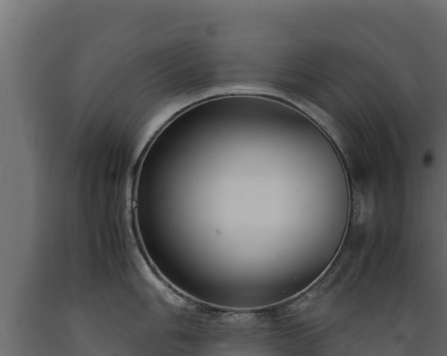 X0000089931006200707061035