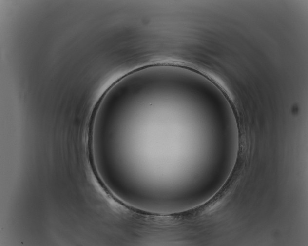 X0000089931007200707061035