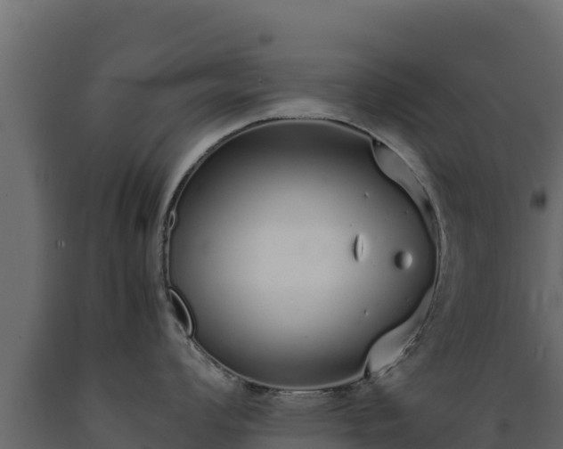 X0000089931008200707061035