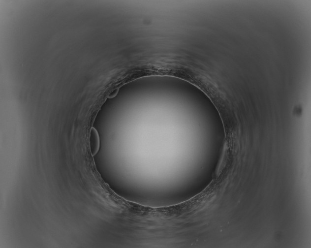 X0000089931009200707061035