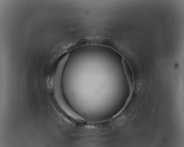 X0000089931010200707061035