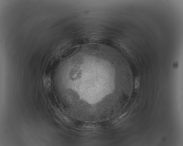 X0000089931011200707061035