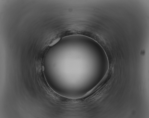 X0000089931012200707061035