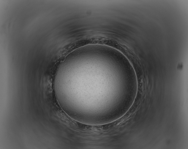 X0000089931013200707061035