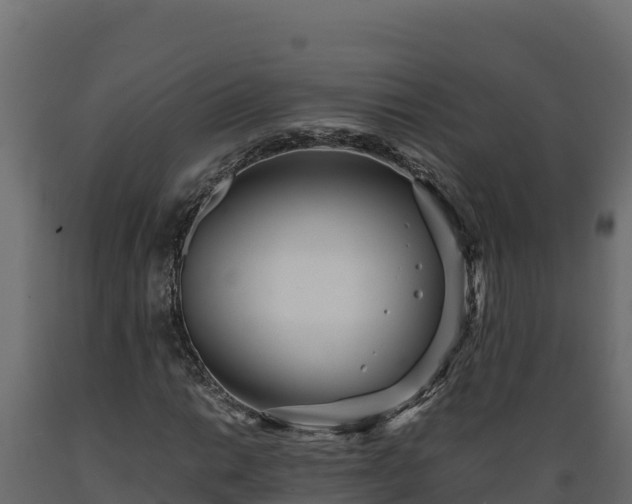 X0000089931014200707061035