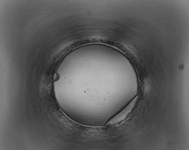 X0000089931015200707061035