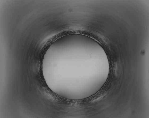 X0000089931016200707061035