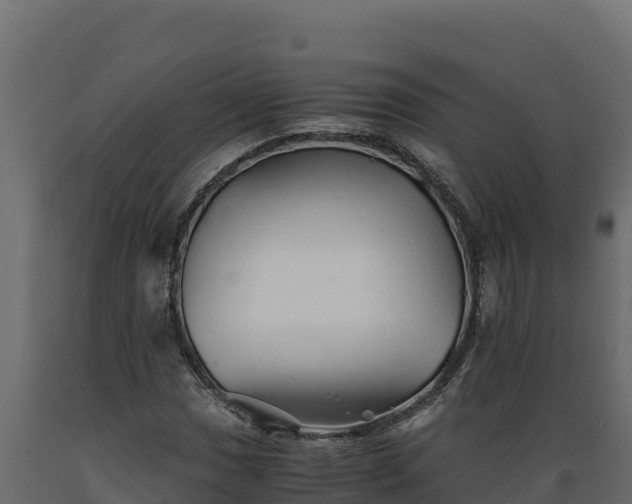 X0000089931017200707061035