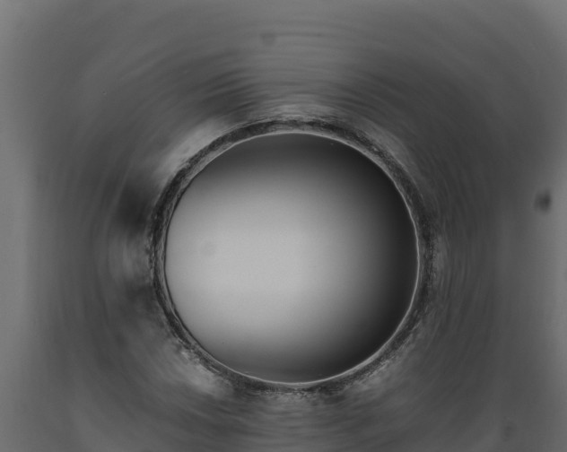 X0000089931018200707061035