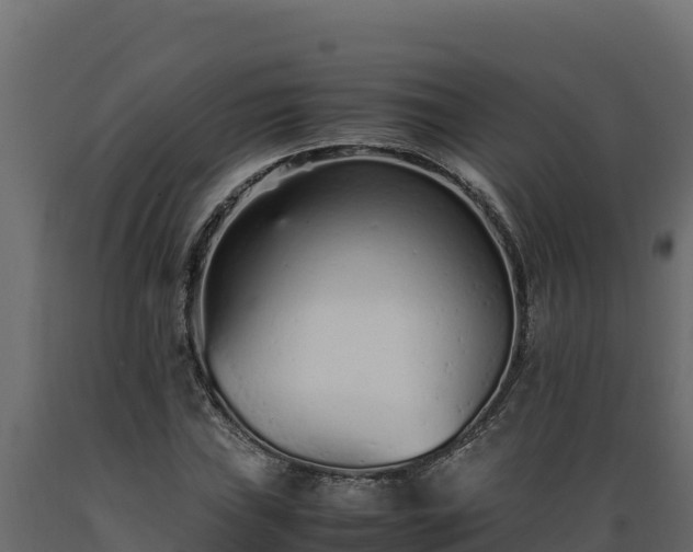 X0000089931019200707061035