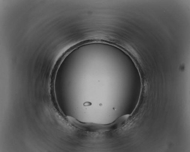 X0000089931020200707061035