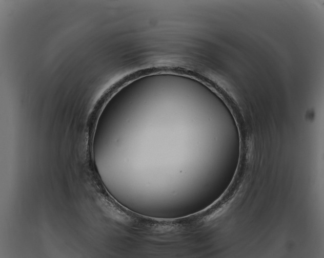 X0000089931021200707061035