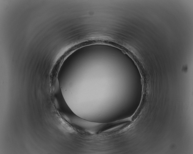 X0000089931022200707061035