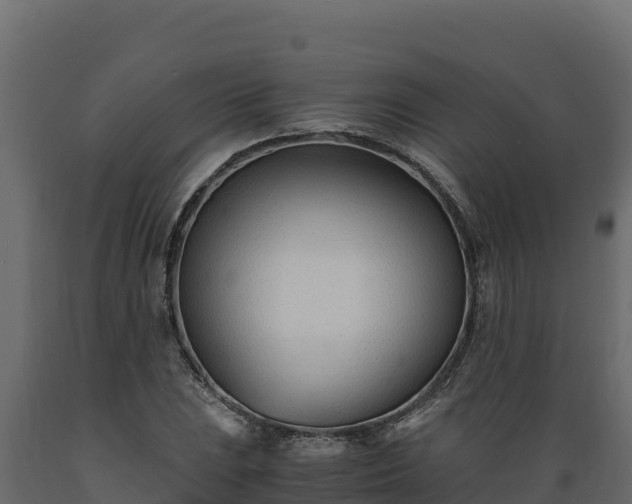 X0000089931023200707061035