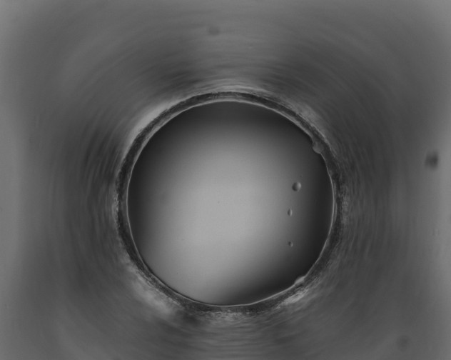 X0000089931024200707061035