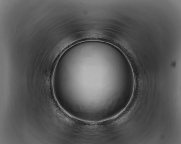 X0000089931025200707061035