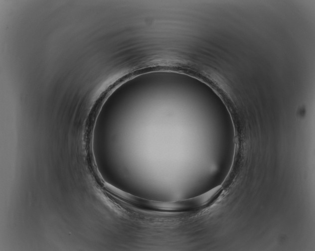 X0000089931026200707061035