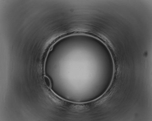 X0000089931027200707061035