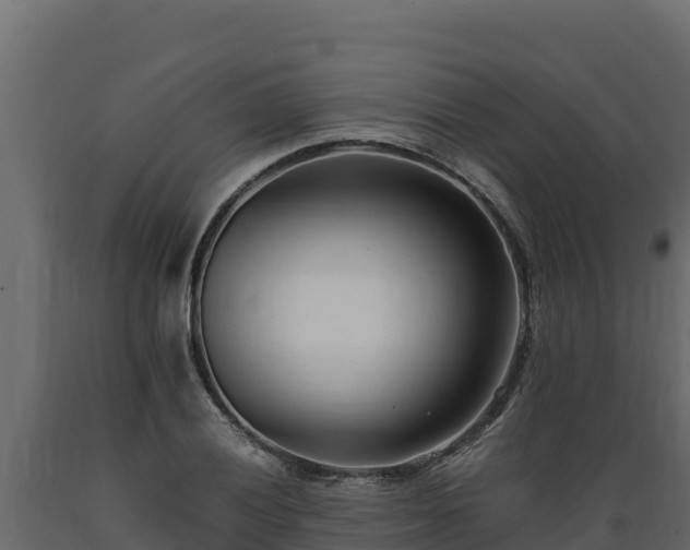 X0000089931028200707061035