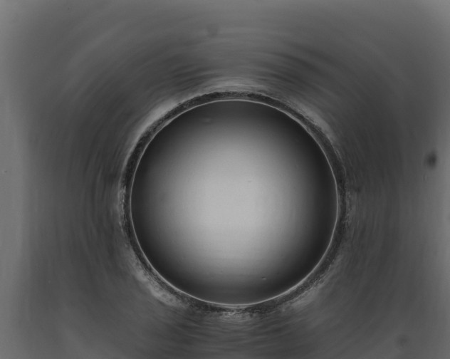 X0000089931029200707061035