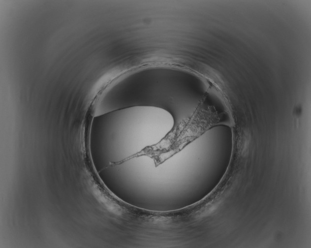 X0000089931030200707061035