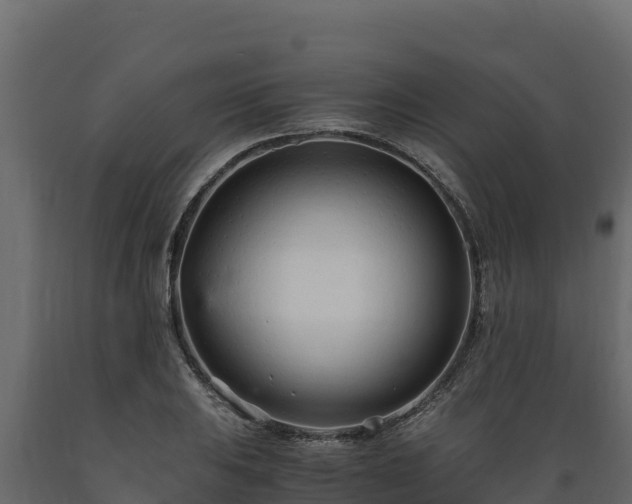 X0000089931031200707061035