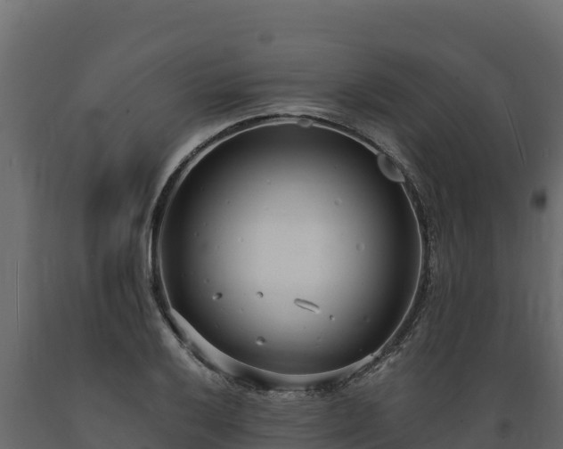 X0000089931032200707061035