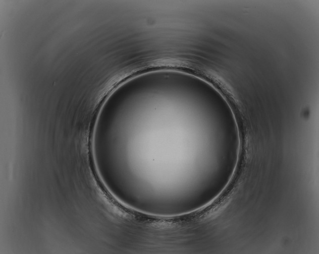 X0000089931033200707061035