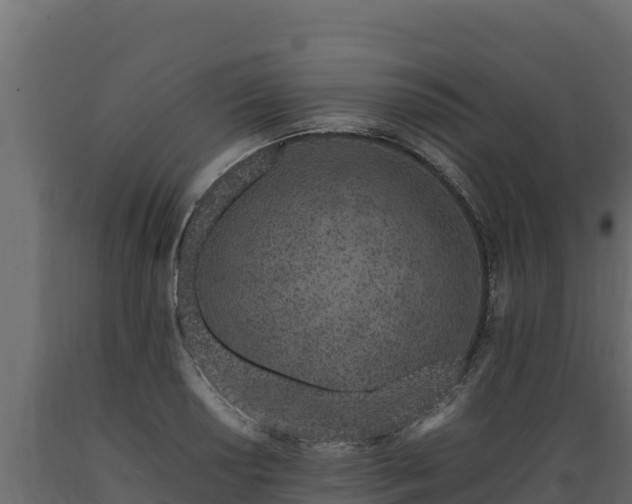 X0000089931034200707061035