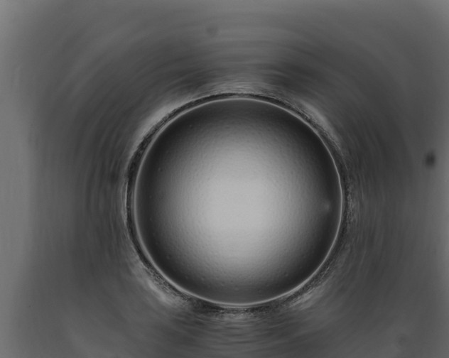 X0000089931035200707061035