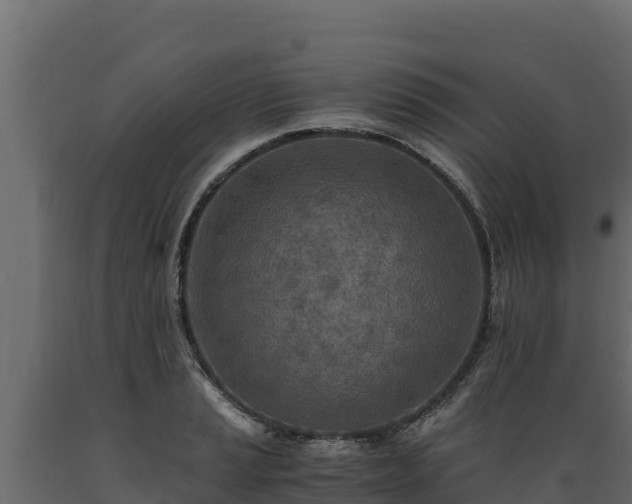 X0000089931037200707061035