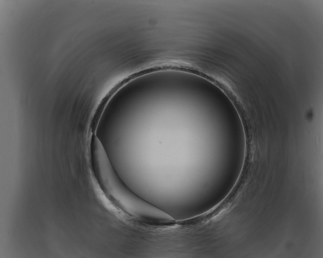 X0000089931038200707061035