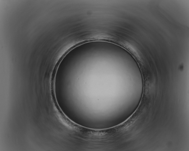 X0000089931039200707061035