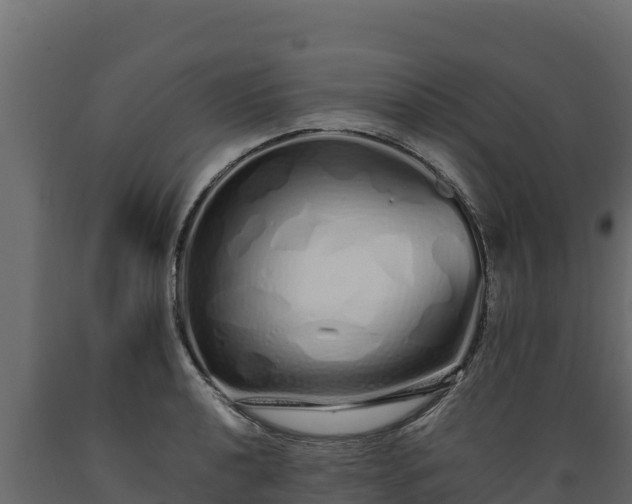 X0000089931040200707061035