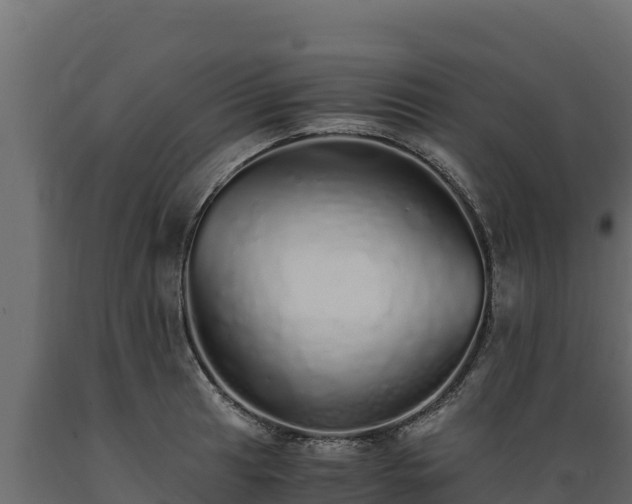 X0000089931041200707061035