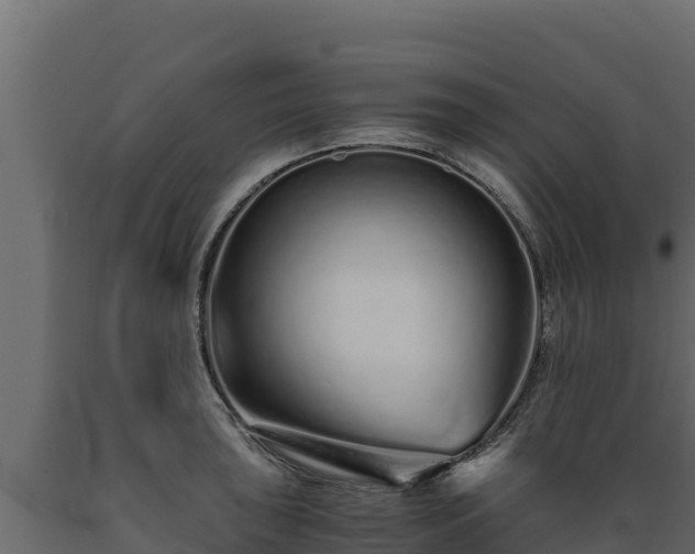 X0000089931043200707061035