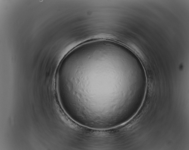 X0000089931044200707061035