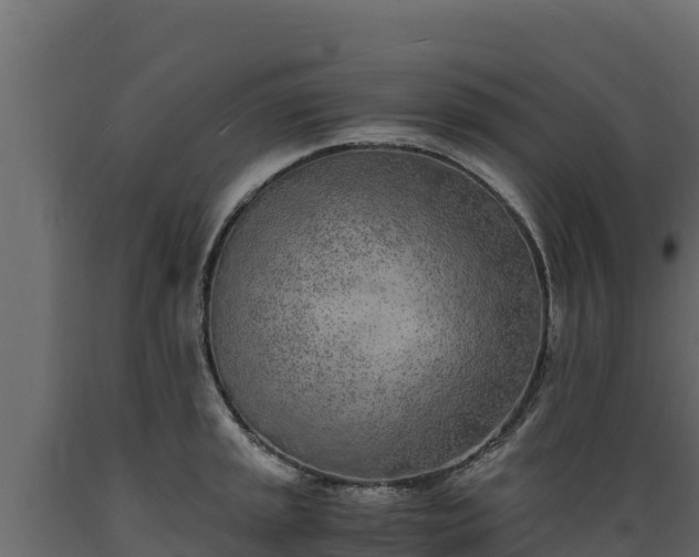 X0000089931045200707061035