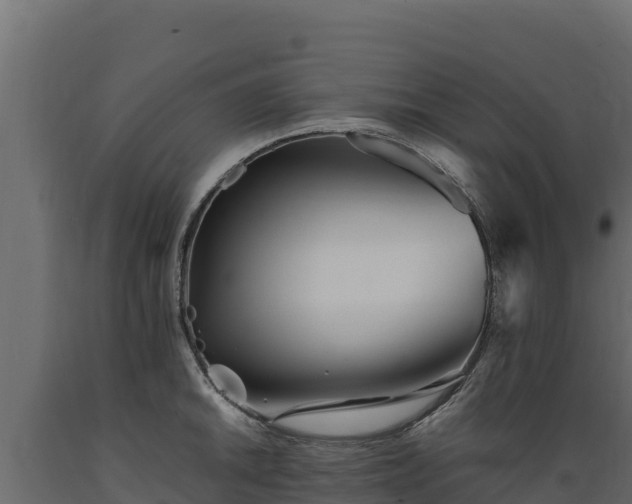 X0000089931046200707061035