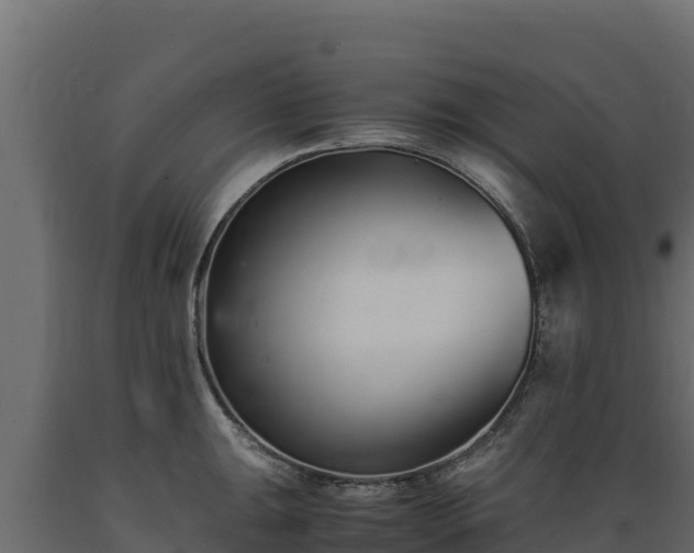 X0000089931047200707061035