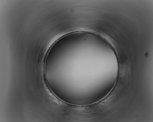 X0000089931048200707061035