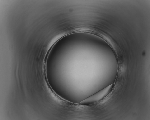 X0000089931050200707061035