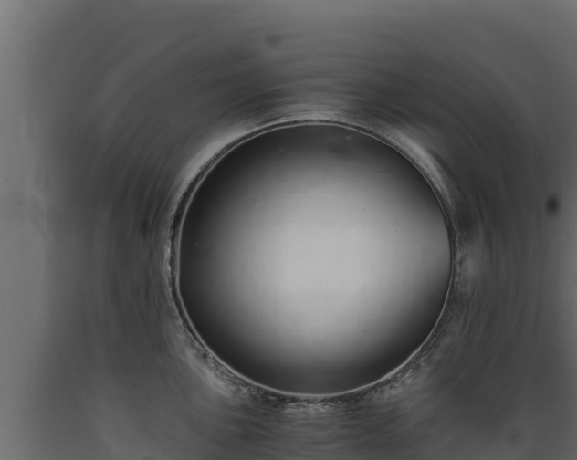 X0000089931051200707061035