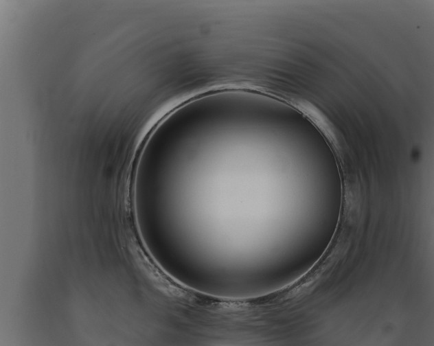 X0000089931052200707061035